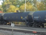 TILX 304877 + NATX 400553